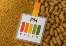 Yem Asitlendiricileri ve Küresel Pazar Durumu