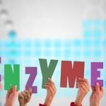 Yem Enzimleri ve Küresel Pazar Durumu