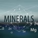 Yem Mineralleri ve Küresel Pazar Durumu