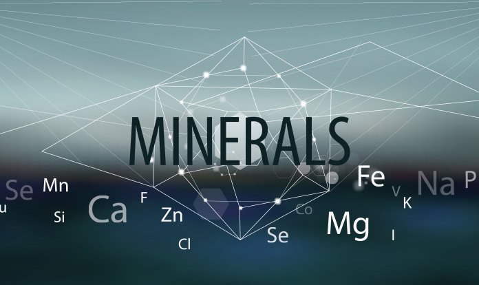 Yem Mineralleri ve Küresel Pazar Durumu