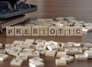 Yem Prebiyotikleri ve Küresel Pazar Durumu