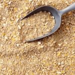 Yem Premiksleri ve Küresel Pazar Durumu