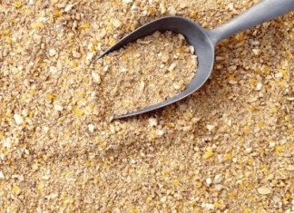 Yem Premiksleri ve Küresel Pazar Durumu