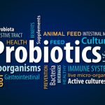 Yem Probiyotikleri ve Küresel Pazar Durumu