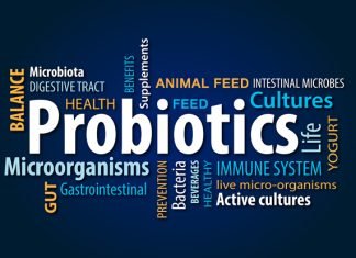 Yem Probiyotikleri ve Küresel Pazar Durumu