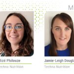 Yem Verimliliği: Bir süt ineğinin karşılaştığı zorluk