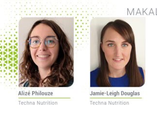 Yem Verimliliği: Bir süt ineğinin karşılaştığı zorluk