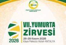 Yumurta sektörünün yol haritası Antalya’da çizilecek