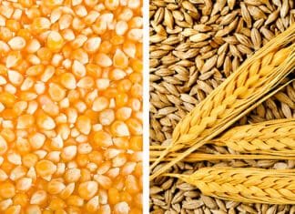 TMO Ocak ayında 1 milyon ton hububat satışı gerçekleştirecek