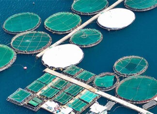 Cargill, okyanusları korumak için çiftçilerle ortaklık yapacak