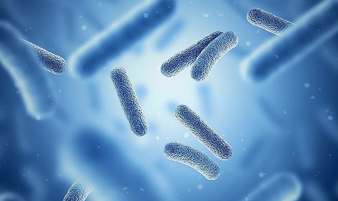 dsm-firmenich, Adare Biome'un satın alma işlemlerini tamamladı