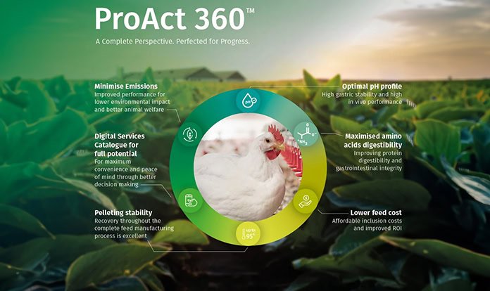 dsm-firmenich, yem proteazı ProAct 360'ın AB'de onaylandığını açıkladı