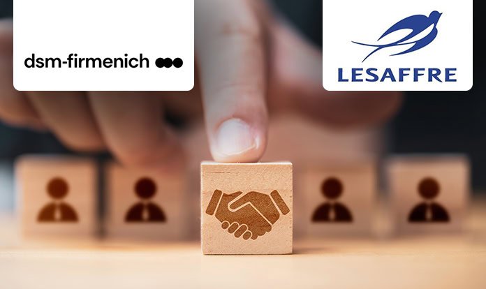 dsm-firmenich maya ekstraktı bölümünü Lesaffre'a satıyor