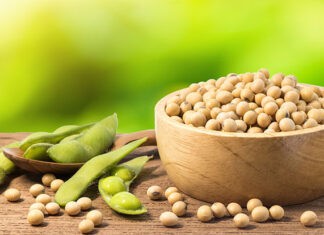 SOYA ve 2021 BEKLENTİLERİ