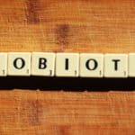 Probiyotiklerin hayvan yemlerinde kullanımı ve pazar dinamikleri