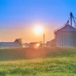 Küresel Yem İşleme Pazarı ve Trendler