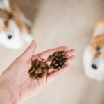 Küresel Evcil Hayvan Maması Pazarı ve Trendler