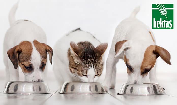 Hektaş, pet mama üretim tesisi kuruyor