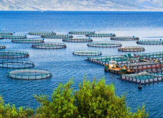 TARSİM, su ürünleri yetiştiricilerini sigorta yaptırmaya çağırdı