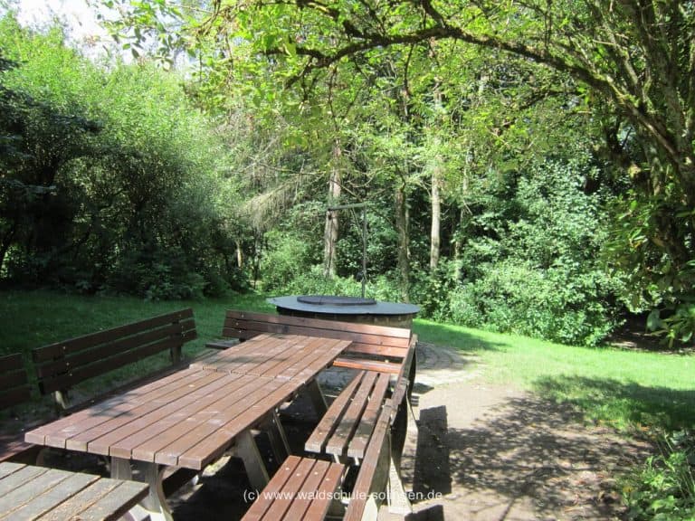 IMG 1358 Waldschule Solingen