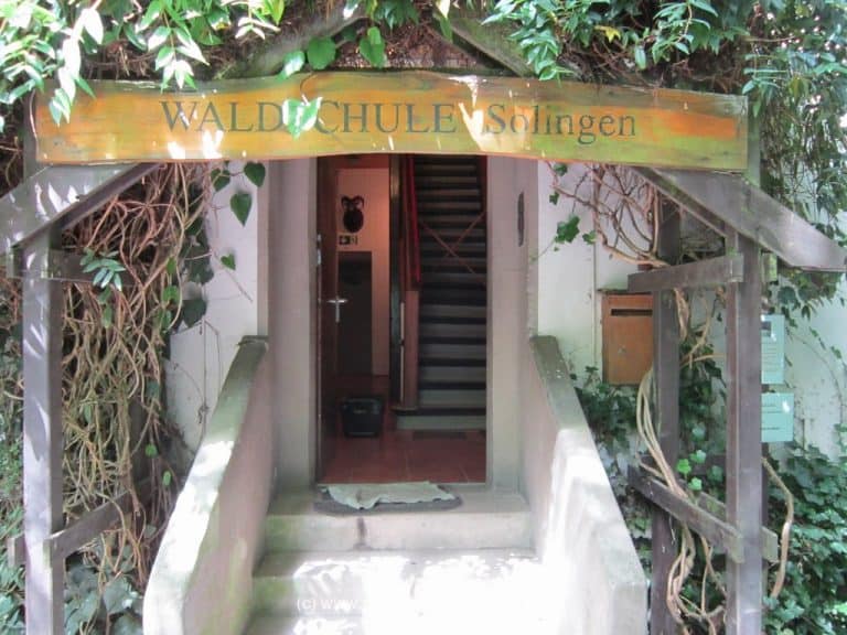Waldschule