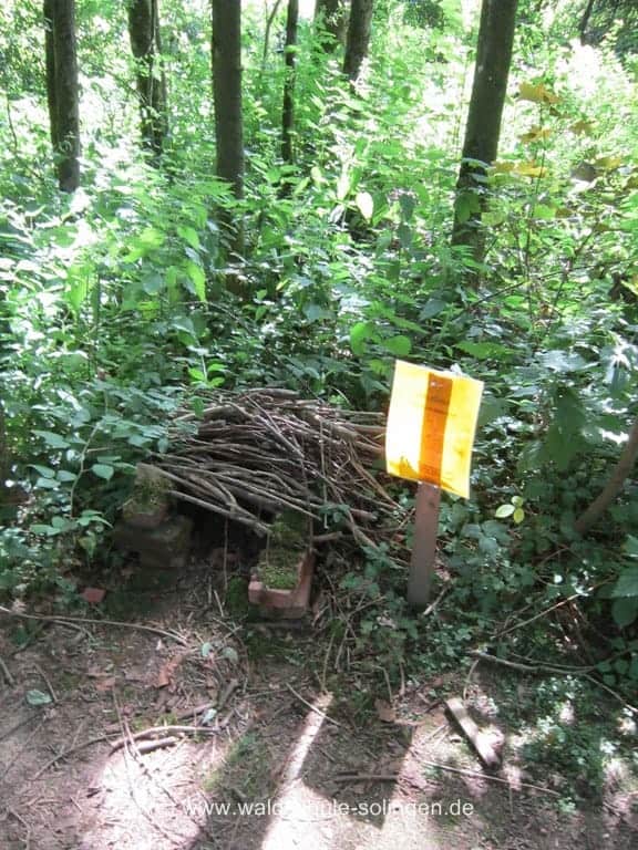 IMG 1363 Waldschule Solingen