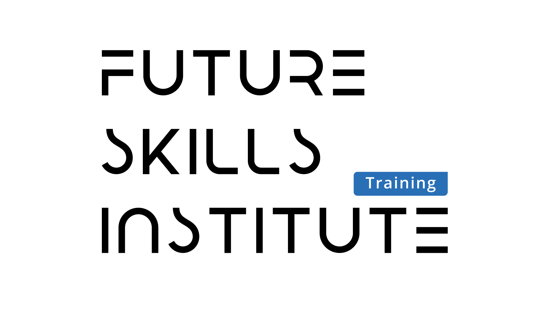 Future Skills Institute 