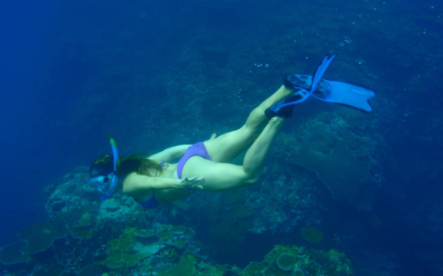 The Ocean as our lungs