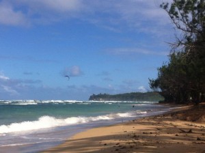 Barbados ocean views