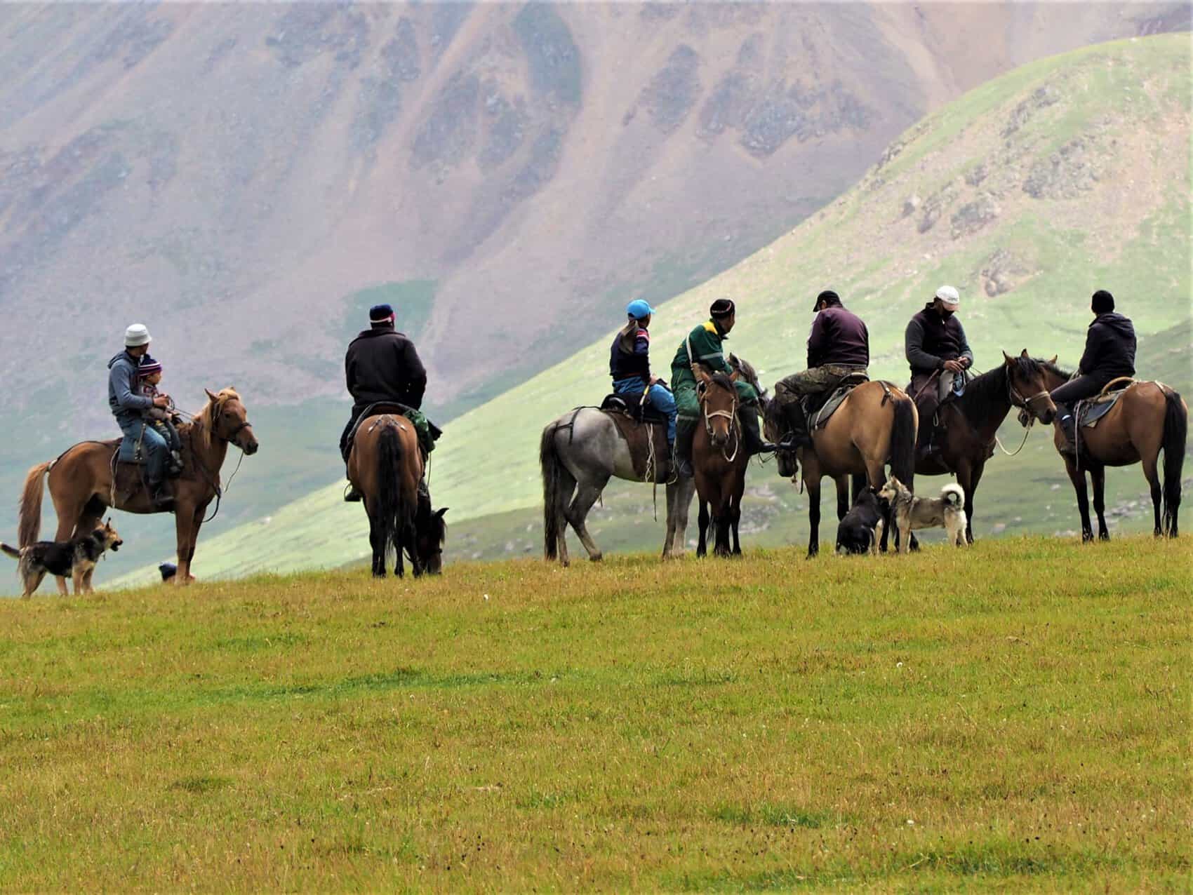 Cheval Kirghizistan