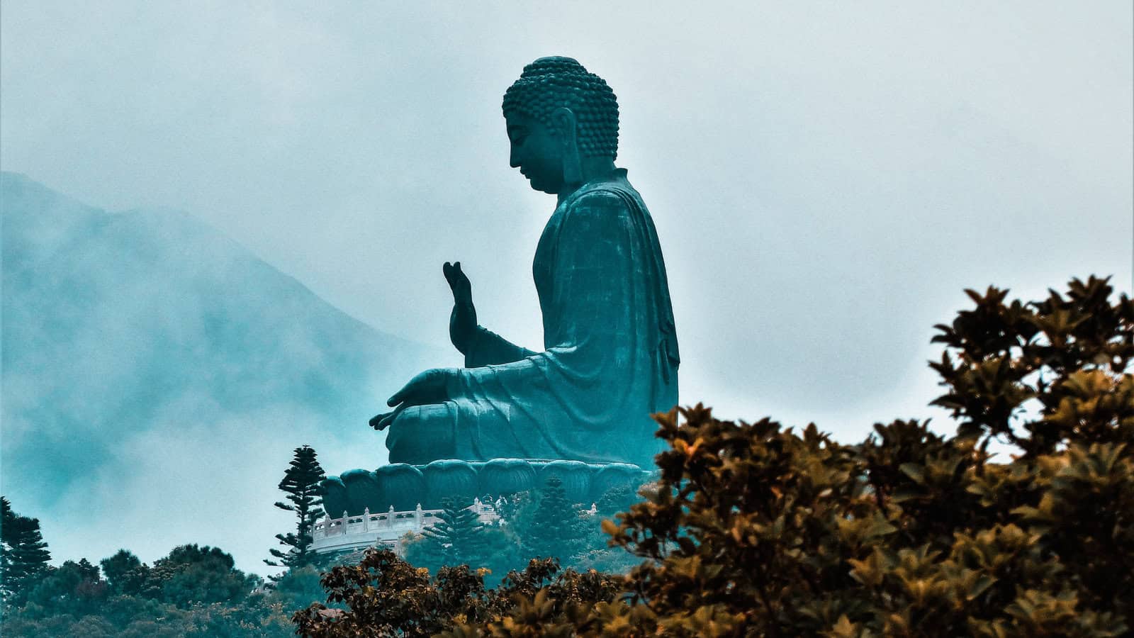 grand bouddha assis