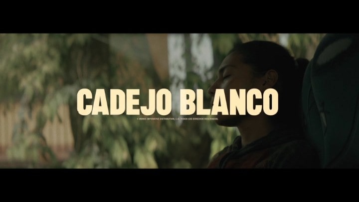 Cadejo Blanco (2021) [DVD Review] 7