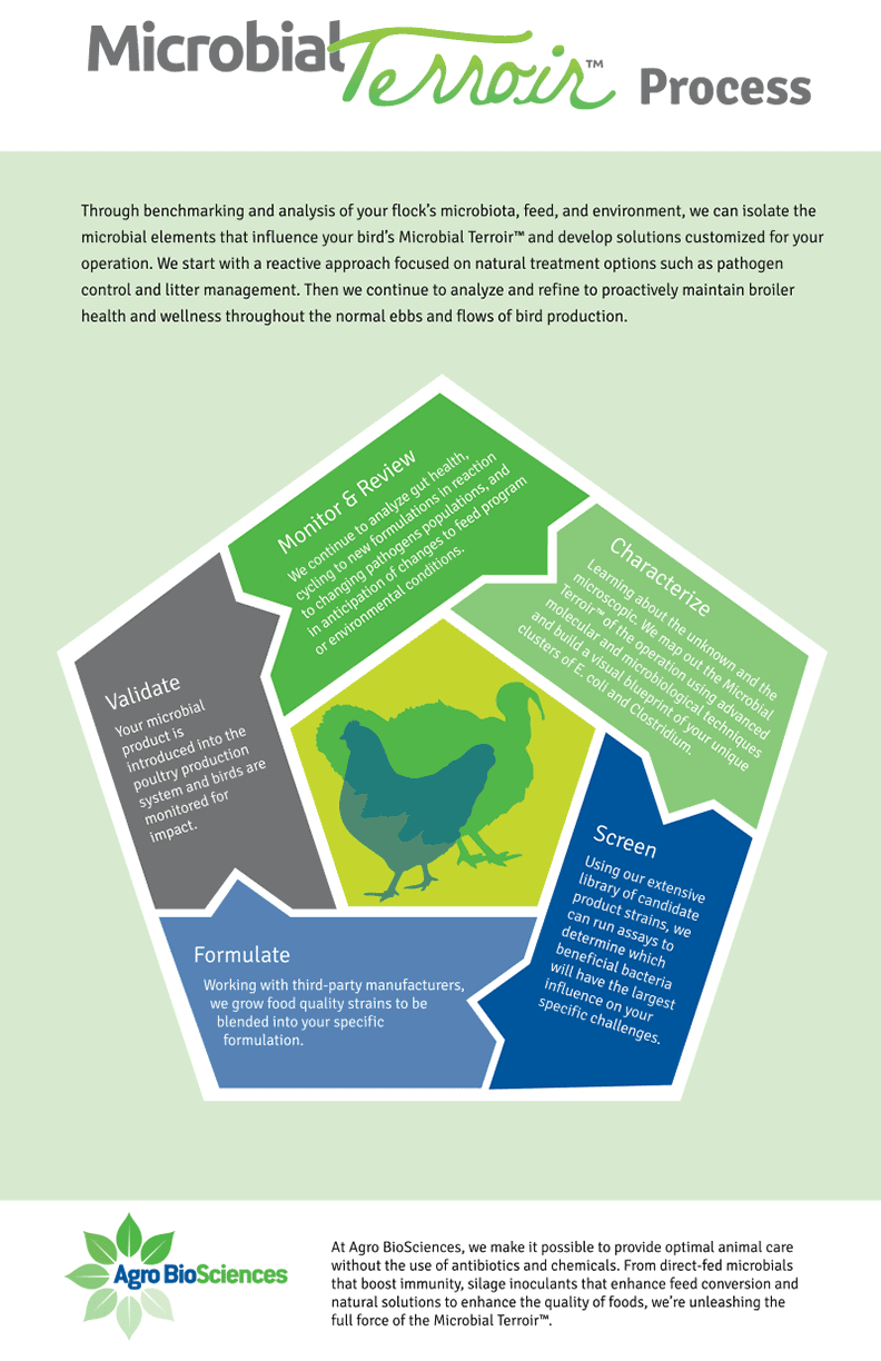 Infographic showing process flow chart.