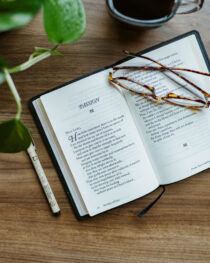 The Valley of Vision, Genuine Leather Edition