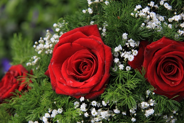 Including Funeral and Burial Wishes in Your Estate Plan