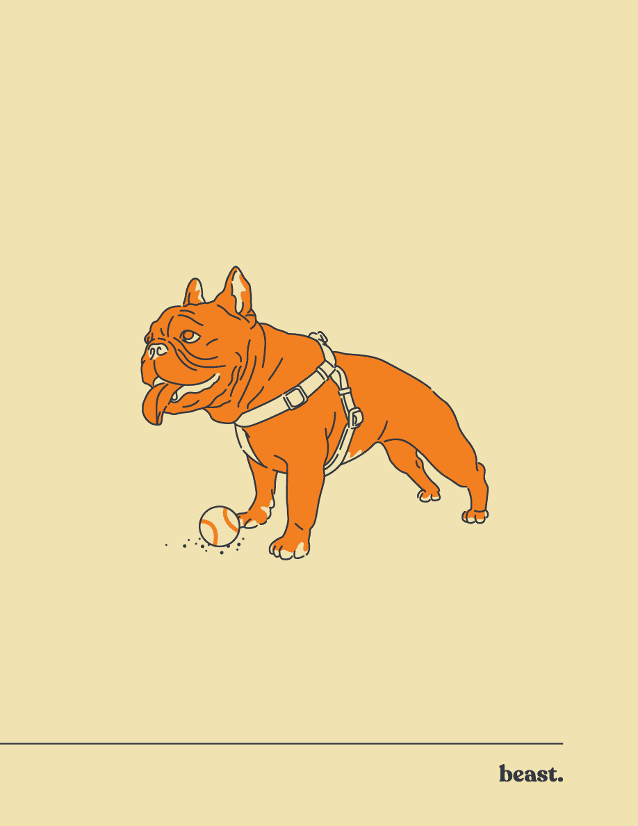 CBD Dog Treats Beast CBD Intro