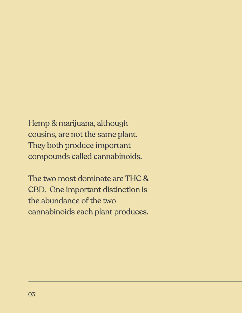 CBD Dog Treats Beast CBD Intro
