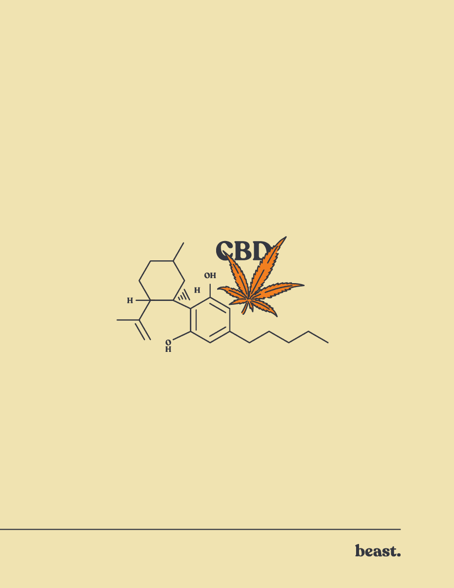 CBD Dog Treats Cannabidiol