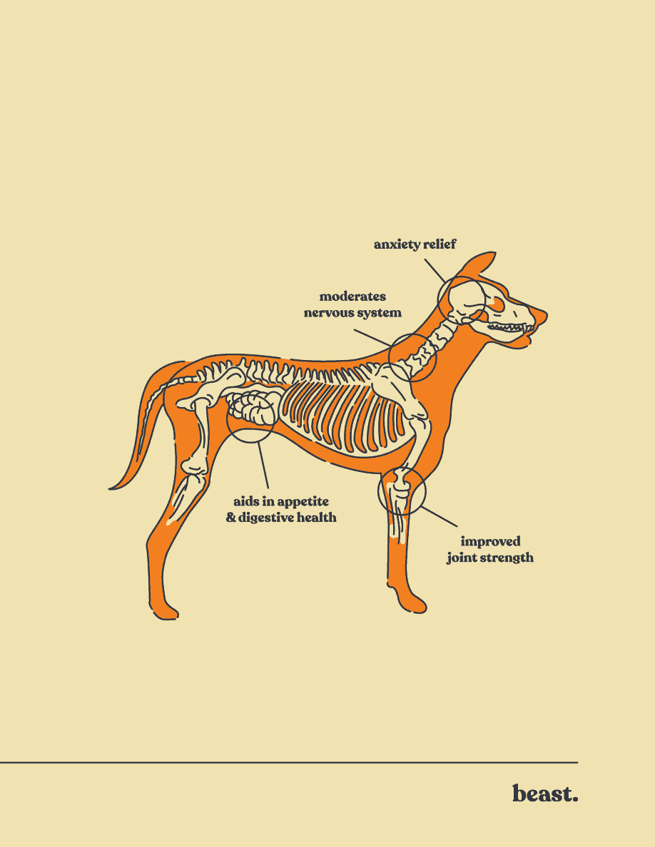 CBD Dog Treats Beast CBD Intro