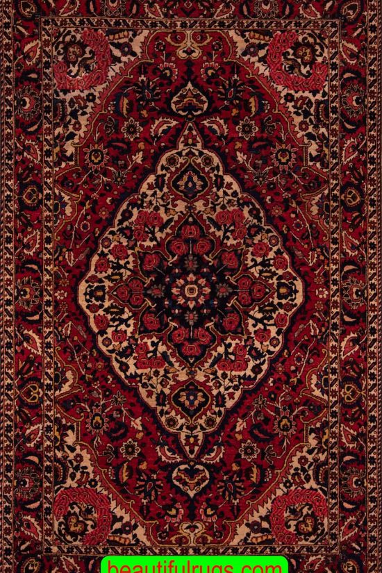 Vintage Iranian Bakhtiari Carpet, Carpet of Iran. Size 4.5x6.10