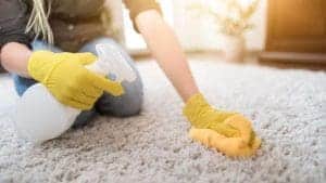 Spot Cleaning