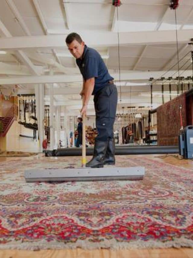 professional-rug-cleaning-premium-281827_1024x1024@2x