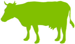 Milchkuh Silhouette