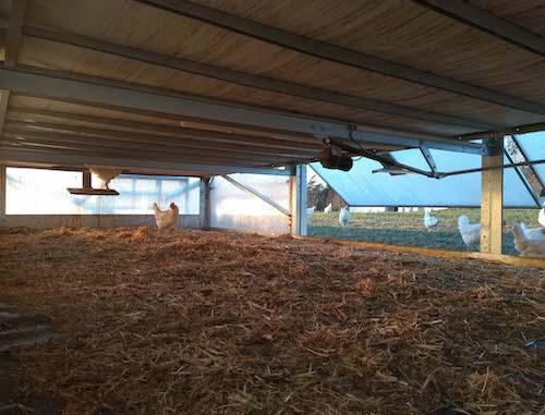Mobiler Hühnerstall BioHof Bart Bad Zell