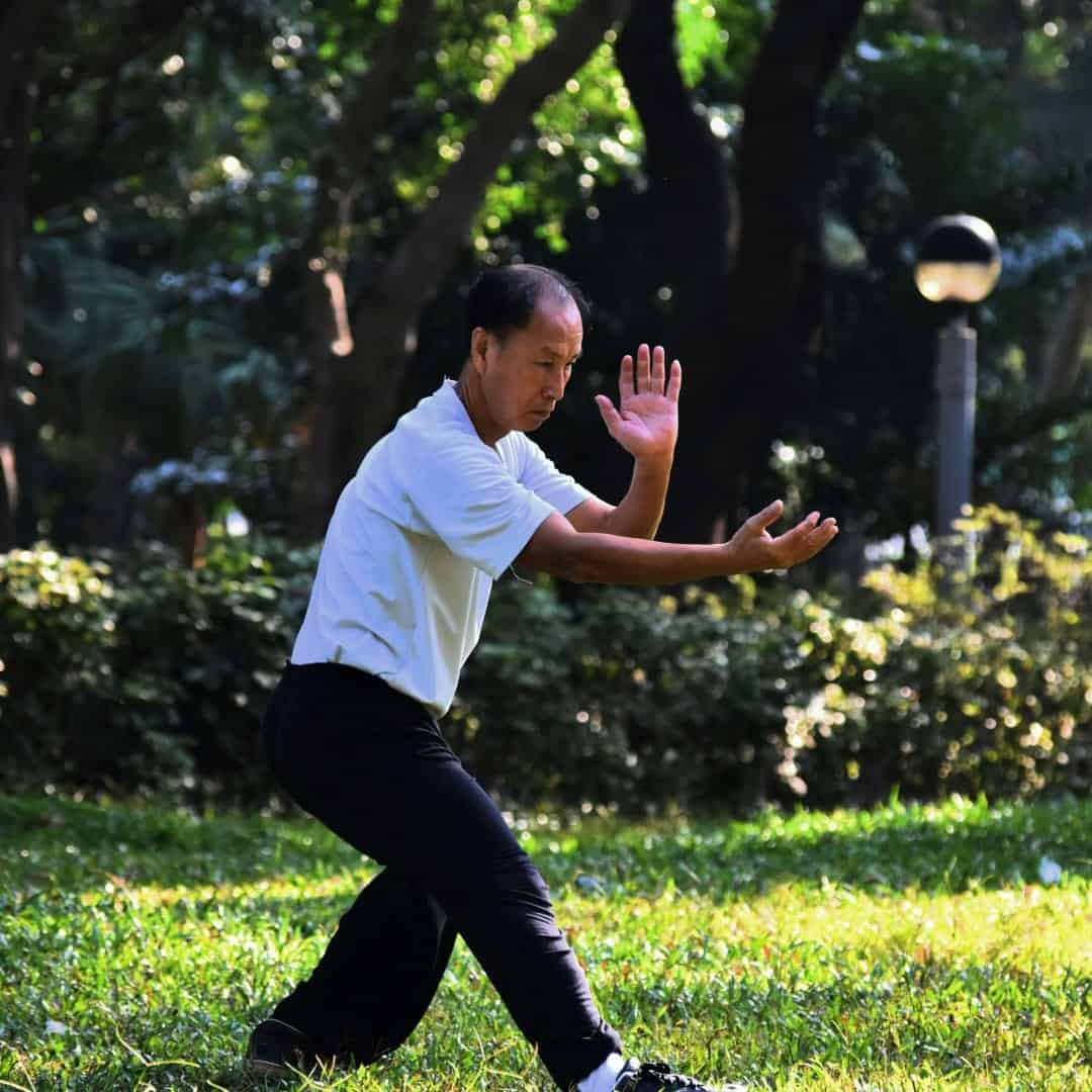 tai chi i
