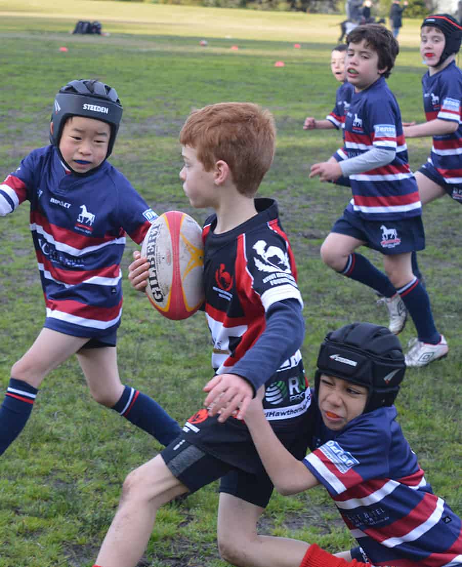 rugby-union-junions