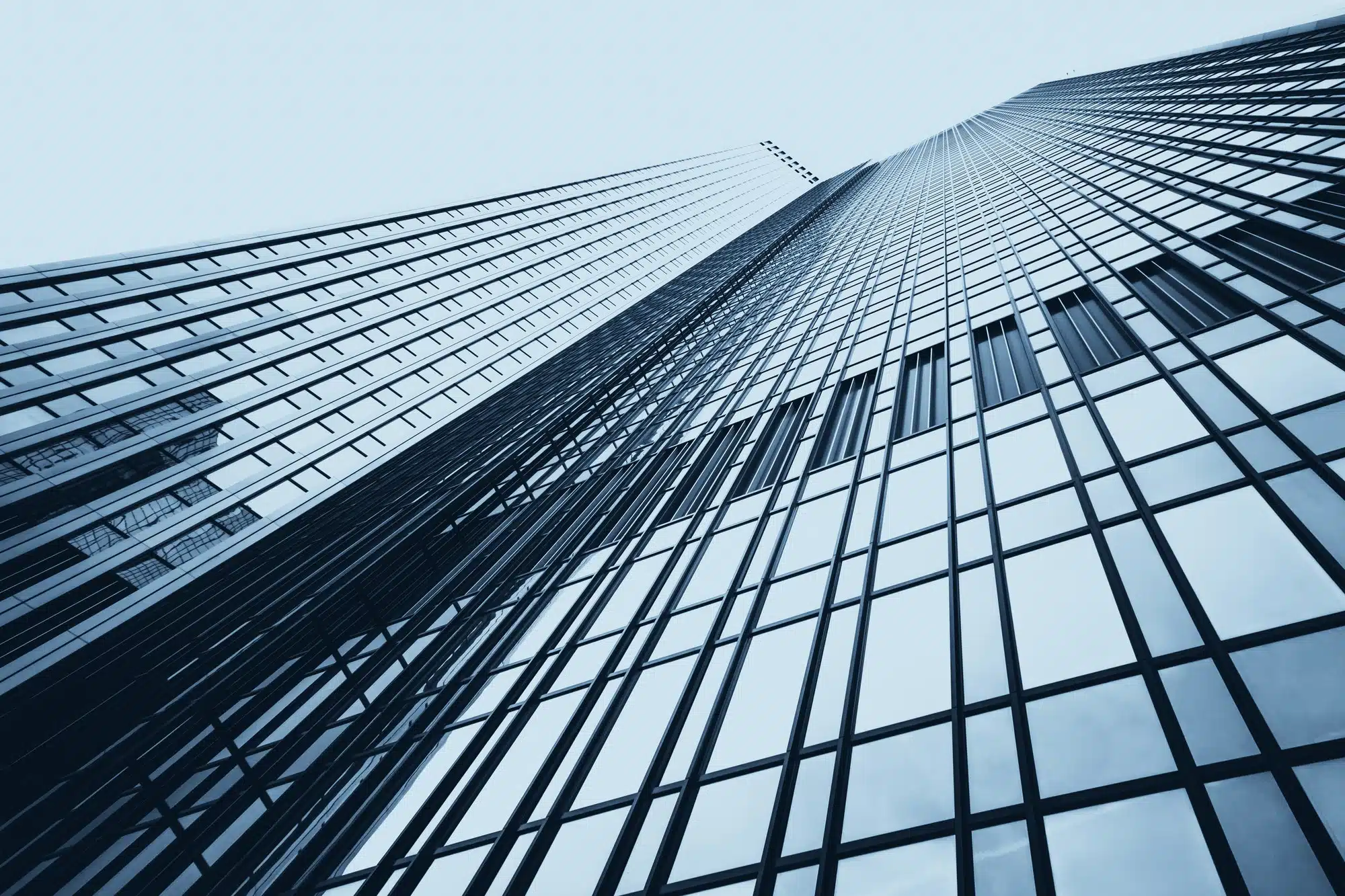 office buildings. Modern glass silhouettes on modern building.