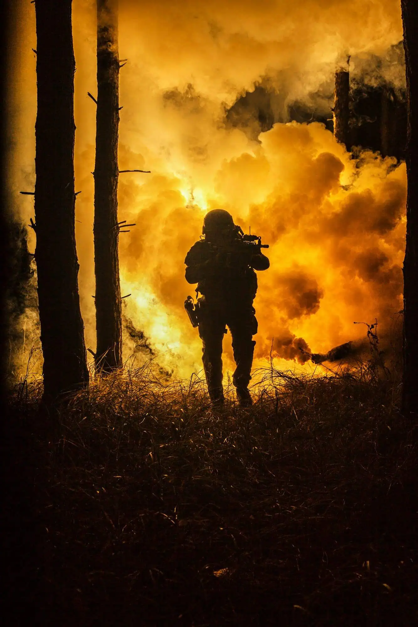 War in the forest