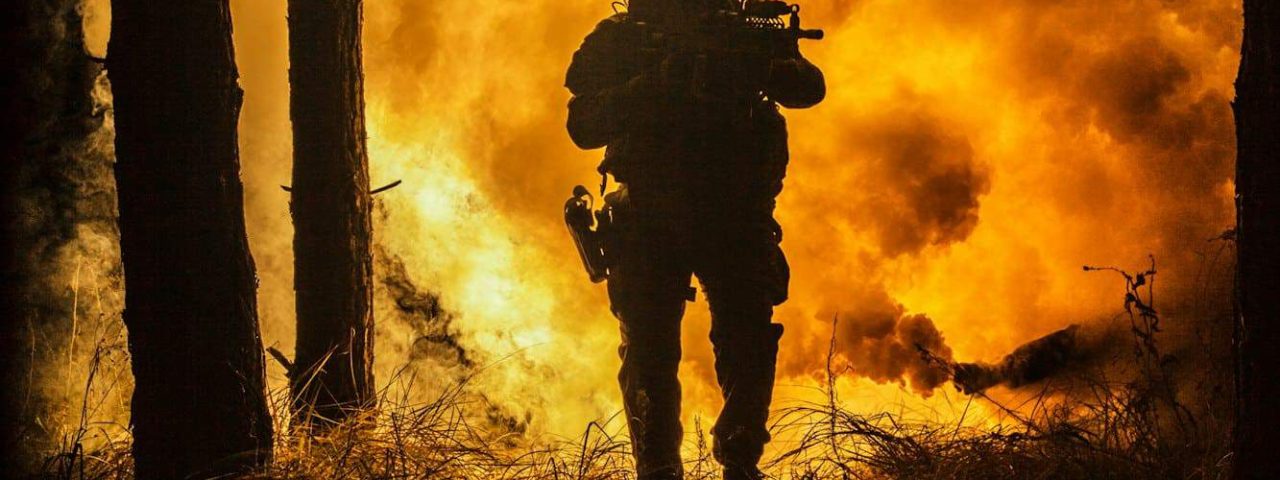 War in the forest