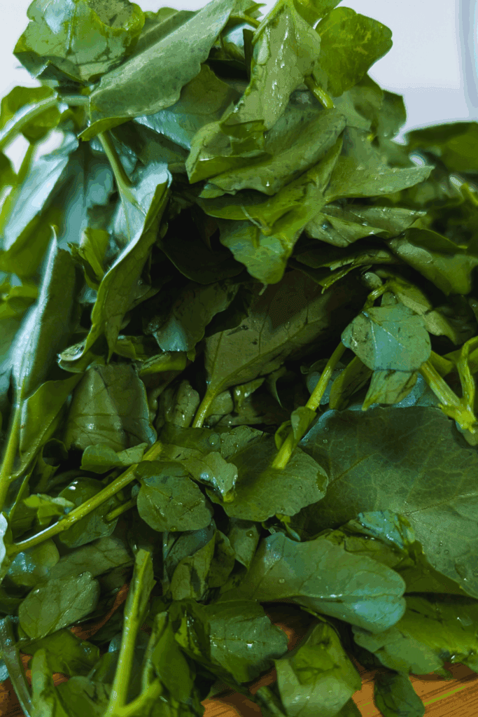 bunch watercress